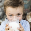 mila-produkte-milch-3.jpg